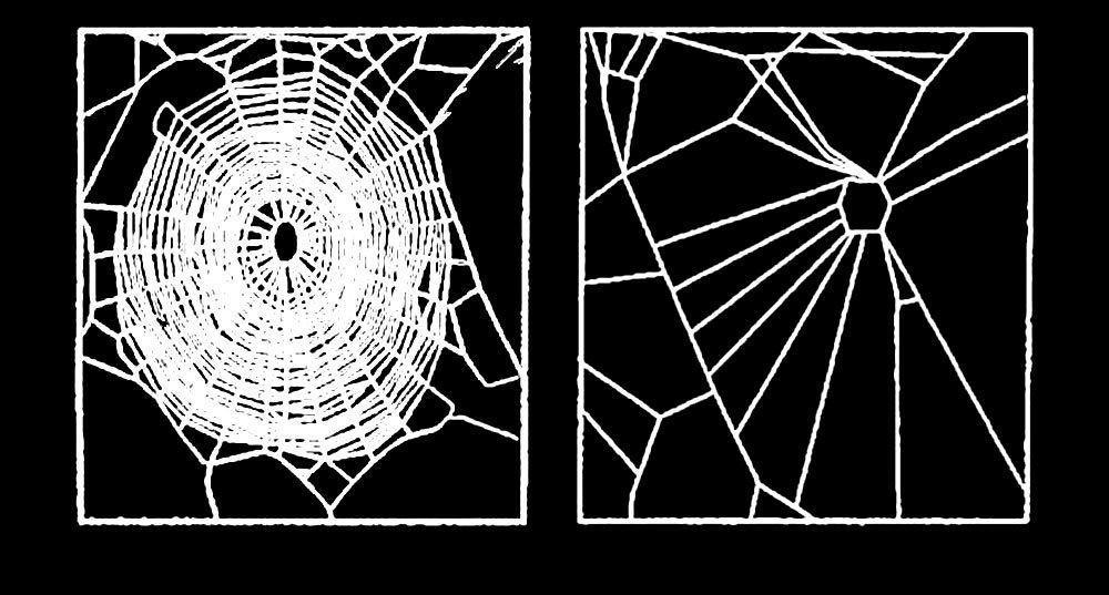 web